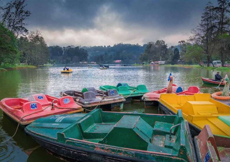 Tranquil outdoor moments documented at Zacs Valley